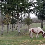 Casale La Fornace Costacciaro