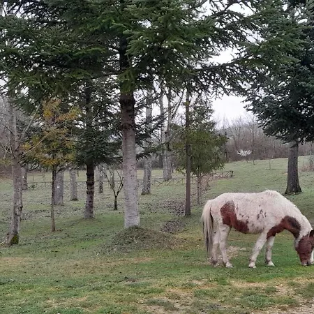 Casale La Fornace Costacciaro