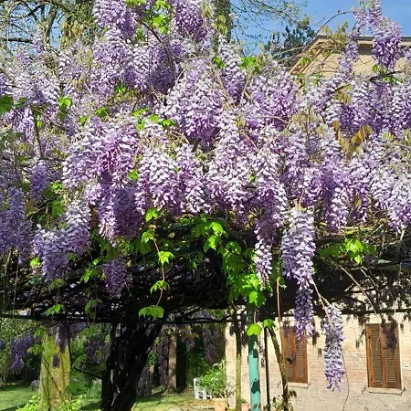 Casale La Fornace Costacciaro