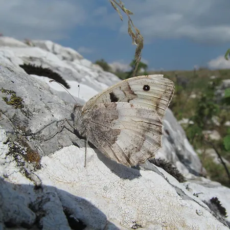 Casale La Fornace Alojamento de Turismo Rural *