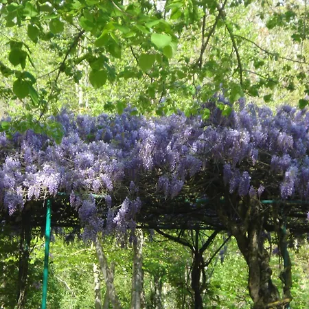 Casale La Fornace Costacciaro