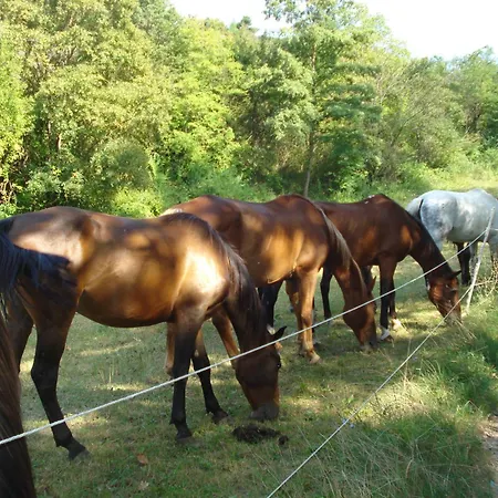 Casale La Fornace * Costacciaro