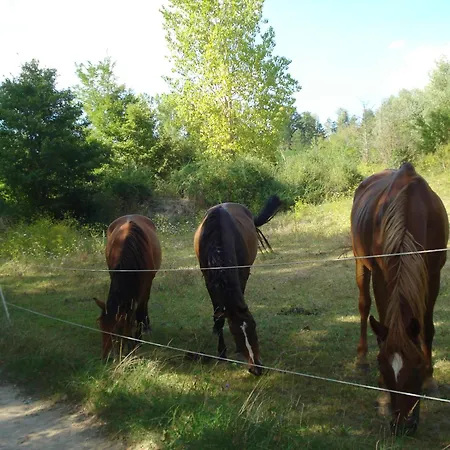 Casale La Fornace Farm stay