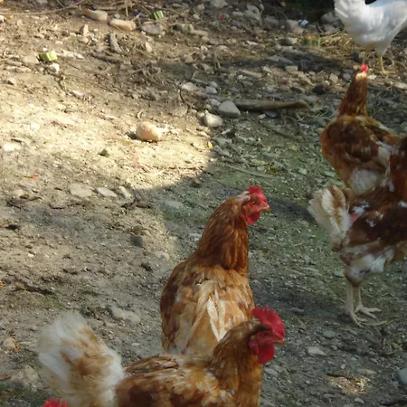 Casale La Fornace Alojamento de Turismo Rural Costacciaro