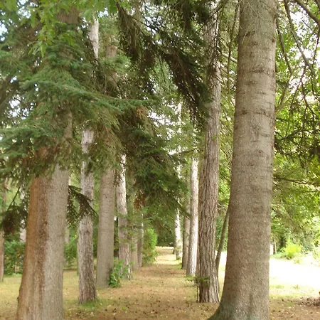 Alojamento de Turismo Rural Casale La Fornace