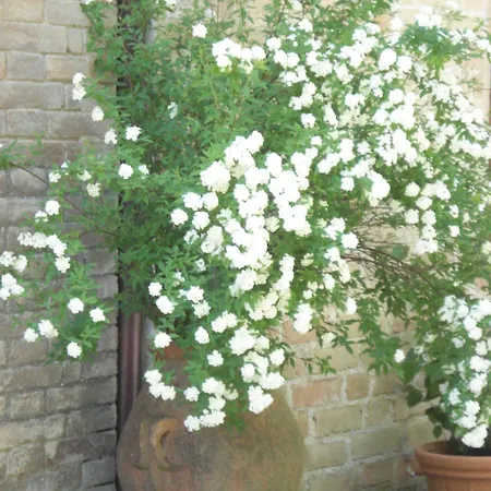 Alojamento de Turismo Rural Casale La Fornace Costacciaro