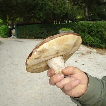 Casale La Fornace Alojamento de Turismo Rural Costacciaro