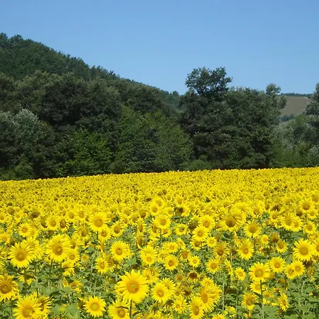 Casale La Fornace Alojamento de Turismo Rural Costacciaro