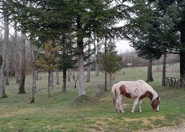 弗尼斯旅馆 Costacciaro