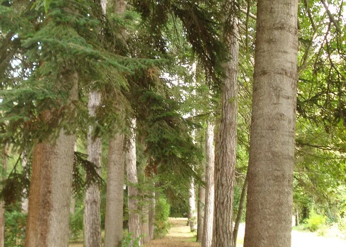 Lantgård Casale La Fornace