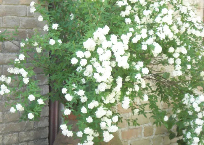 农家乐 弗尼斯旅馆 Costacciaro